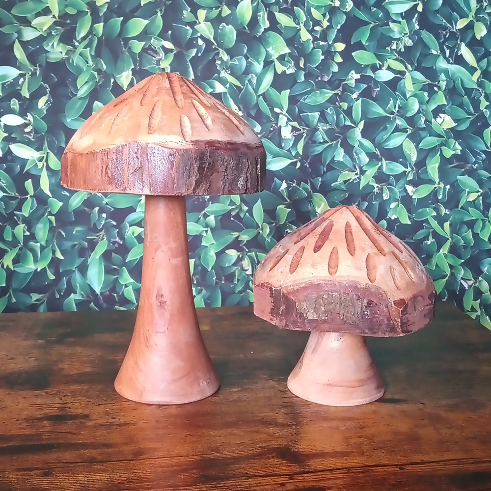 Set of two hand carved wooden toadstool mushrooms